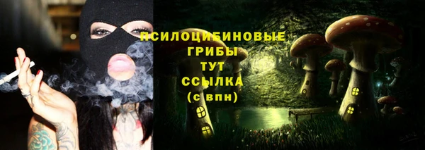 твердый Горно-Алтайск